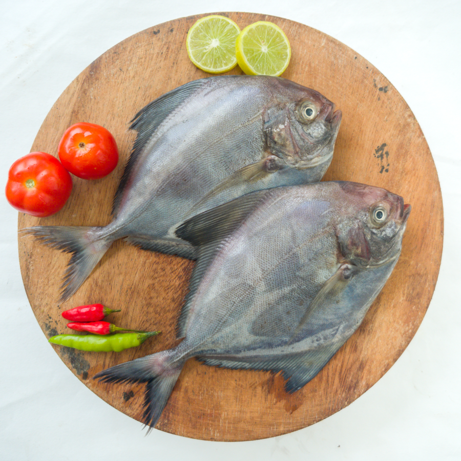 Black Pomfret whole