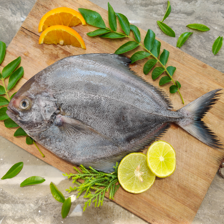 Bombay Fisheries – Bombay Fish Co.