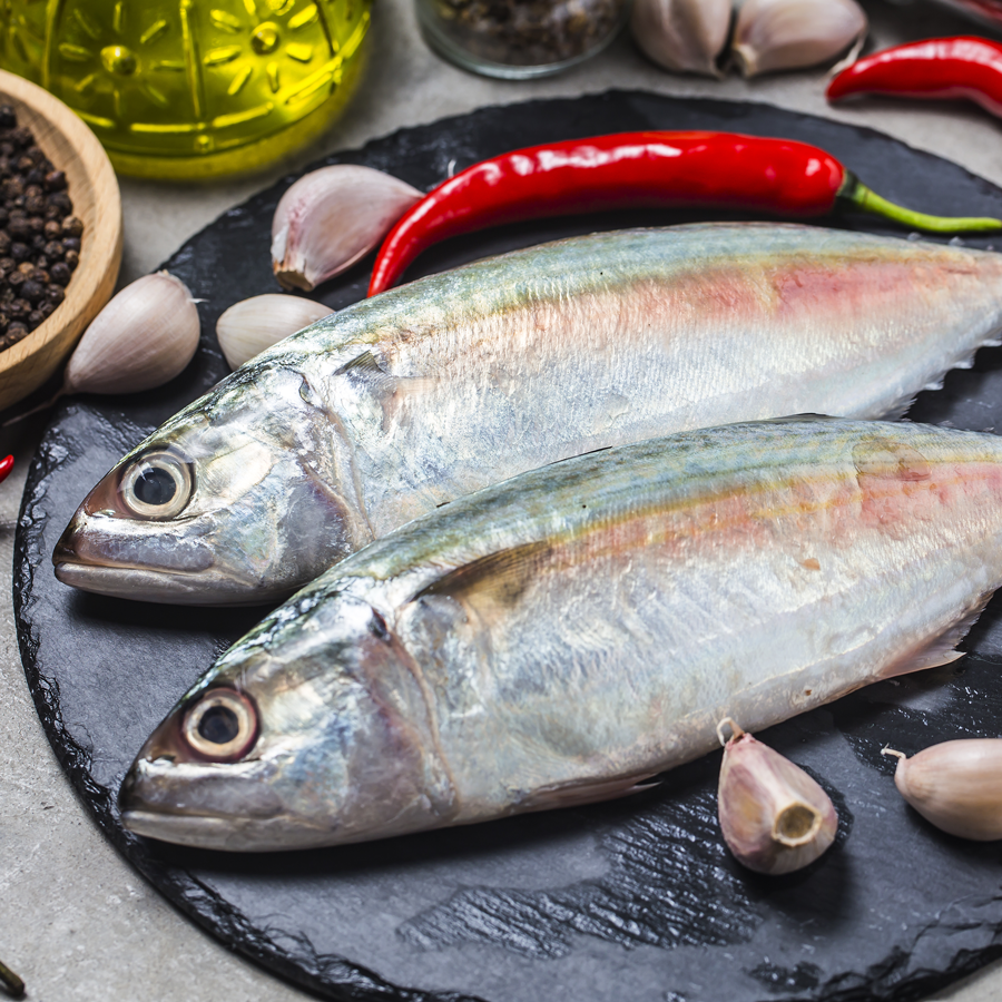 Mackerel/Aila Fish(500 gm) – Bombay Fish Co.