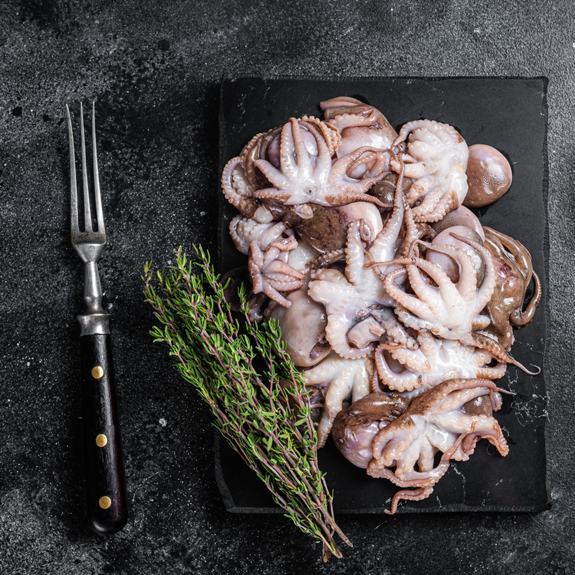 Octopus Fish Powder Whole Octopus – Bombay Fish Co.
