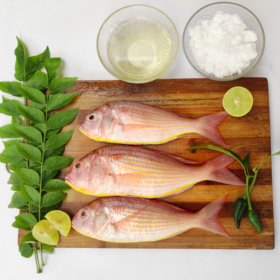 Rani fish/Pink Perch(500 gm) – Bombay Fish Co.