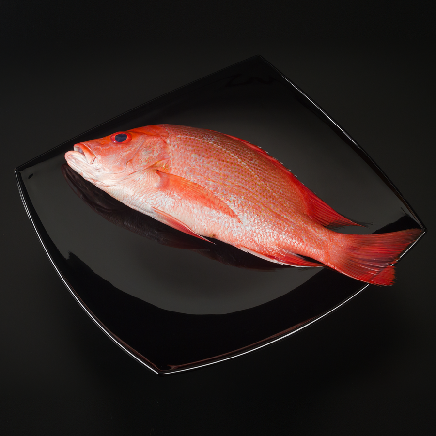 Red Snapper whole – Bombay Fish Co.