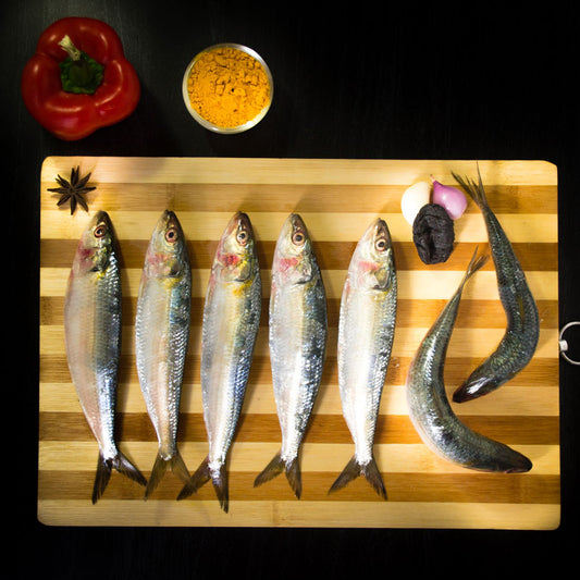 Sardines/ matti